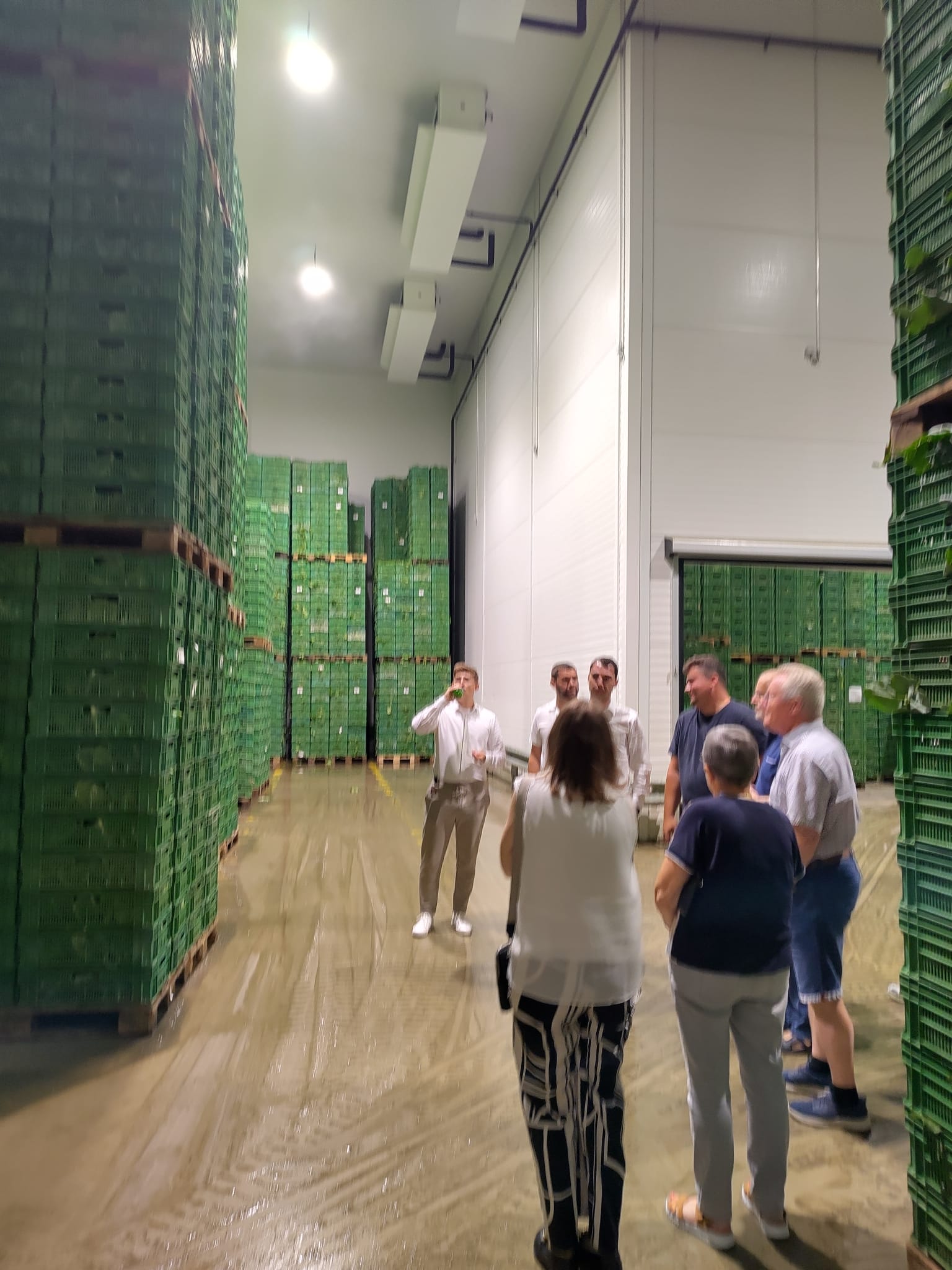 Zu Gast bei Gemüse Egger